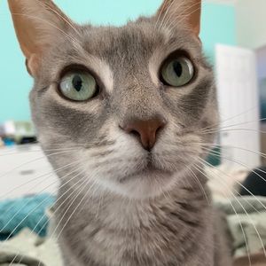 Meet your Posher, Heather